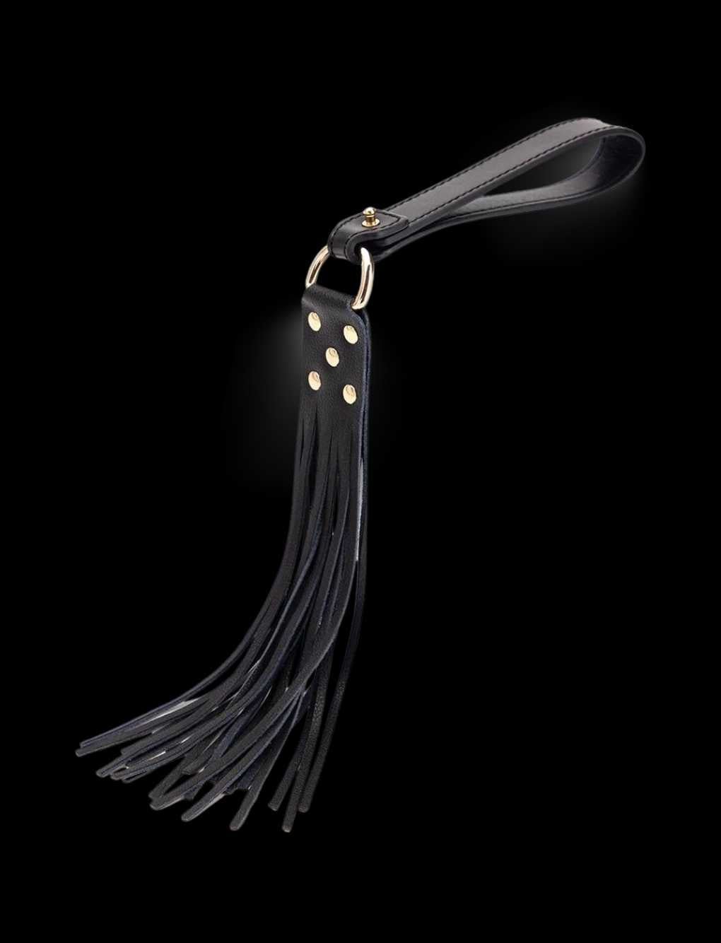 Erotic Leather Whip Secret Kiss